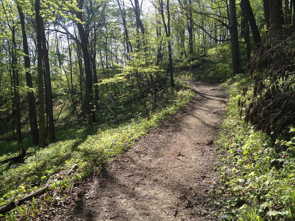 Seven Mile Creek Trail