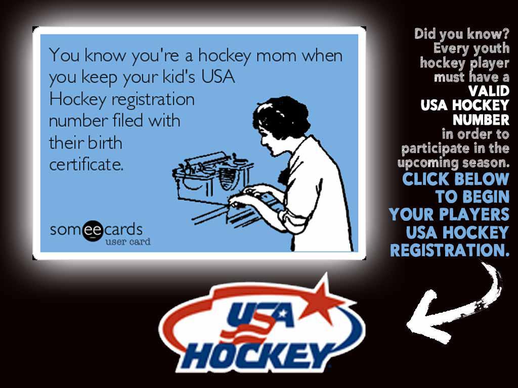 usa hockey safesport