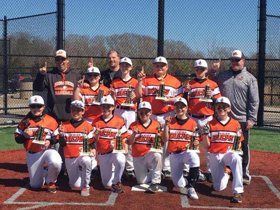 li junior ducks