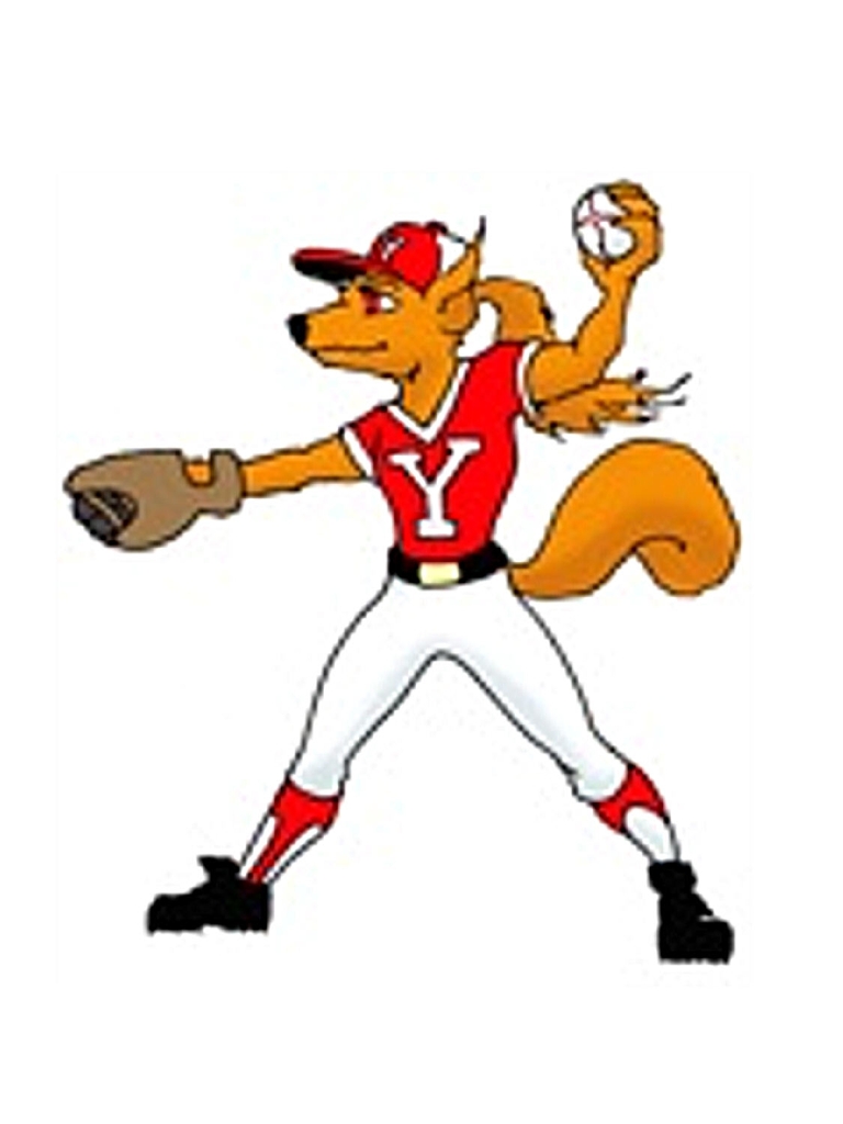 Other Yorkville Illinois Youth Sports