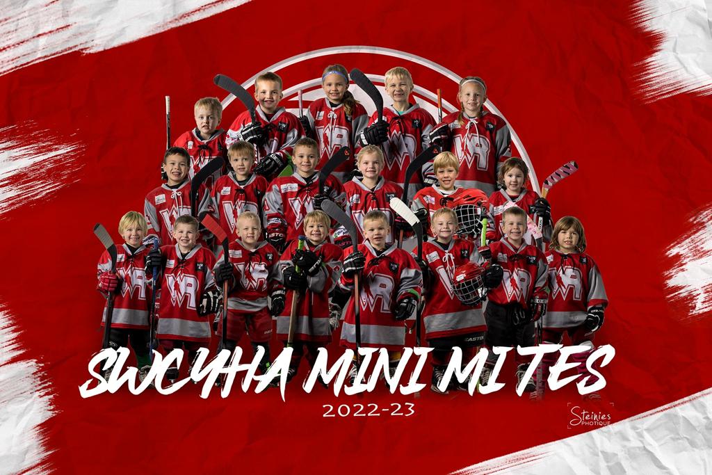 Mini Mites
