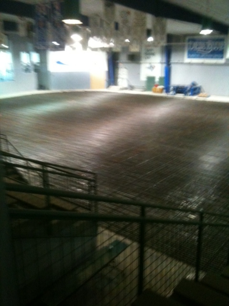 Plano Rink Update (5/12)