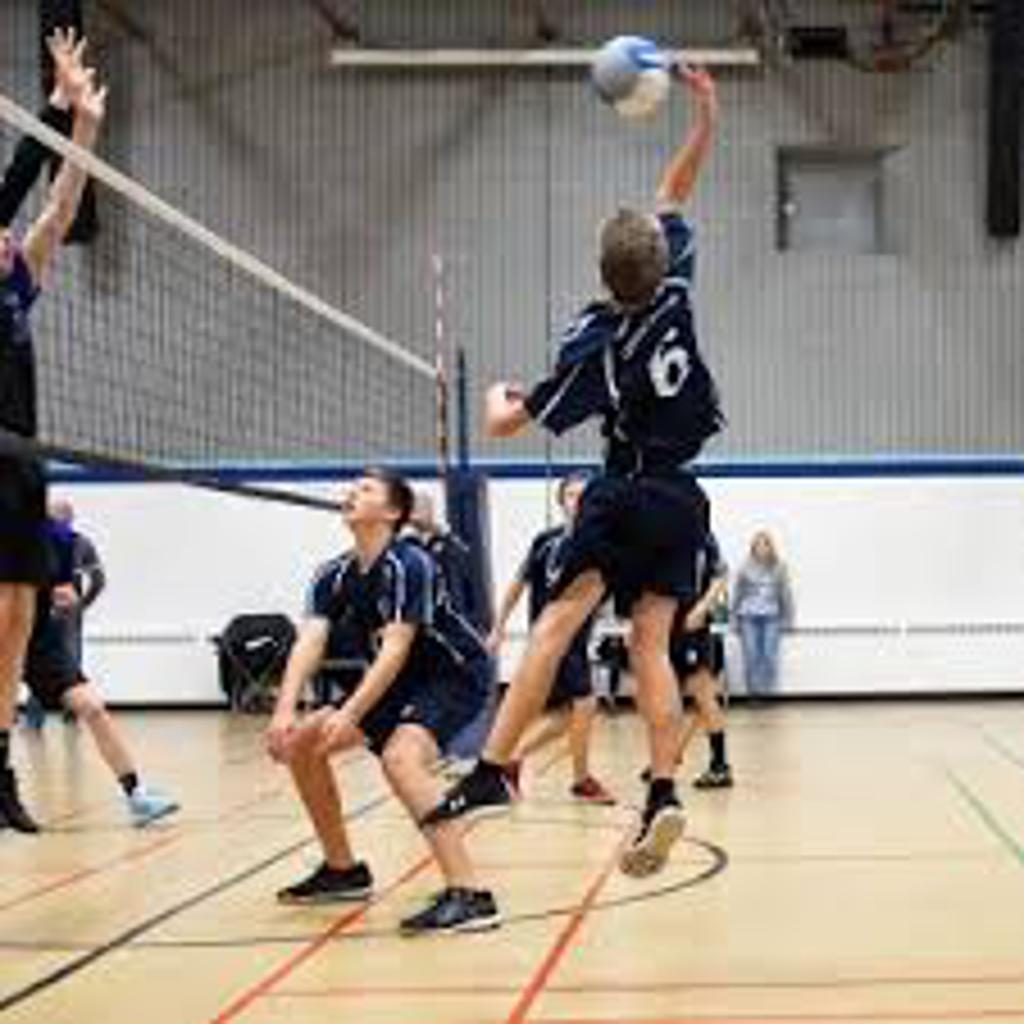 Boys Winnipeg Volleyball