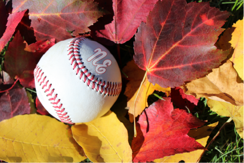 NE Eagles Fall Baseball