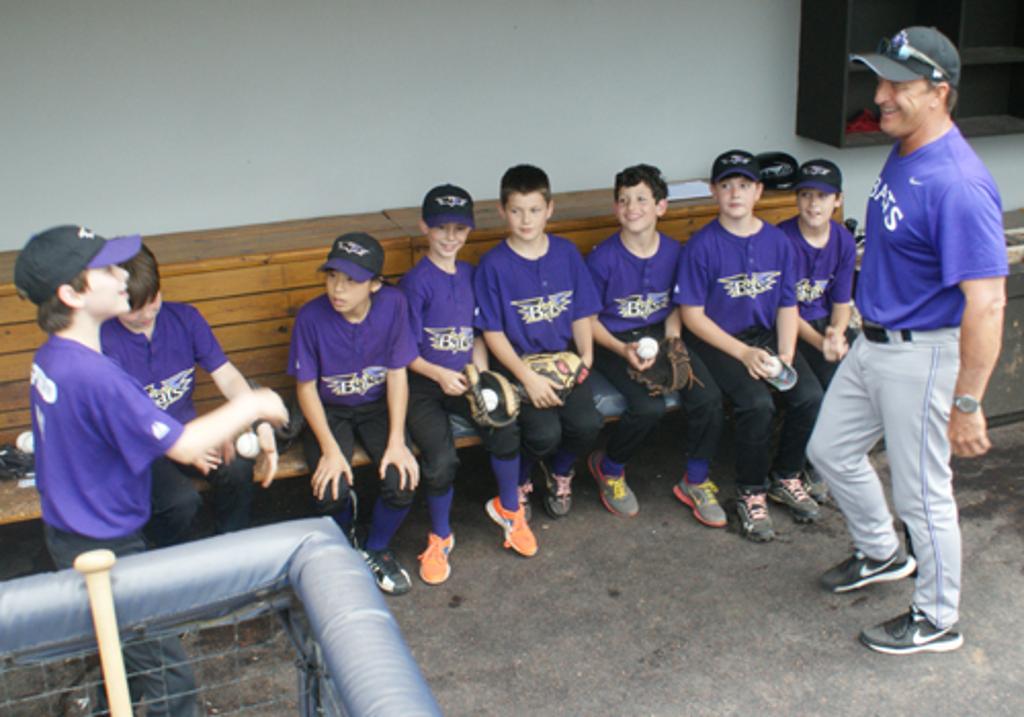 2013 AAA Bats Photos Buckhead Baseball