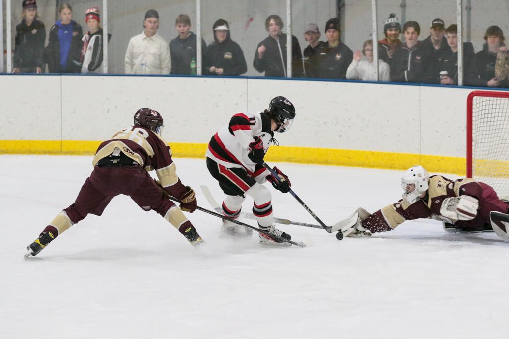 Nanson Stops 48 of 50 Shots but Otters Fall to River Lakes 2-1