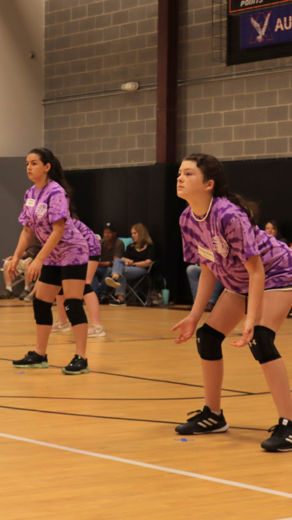 REC VOLLEYBALL (SPRING)