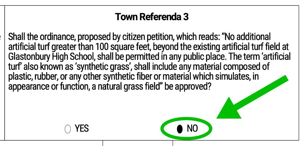 Vote NO on Town Referenda 3