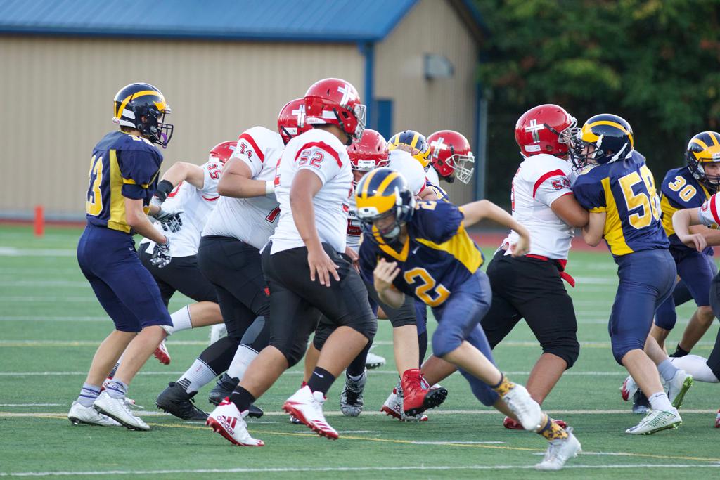 Bellevue Freshmen Wolverines