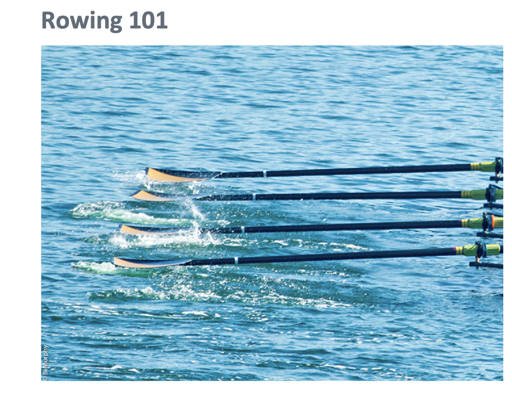 Rowing Terminology & Primers