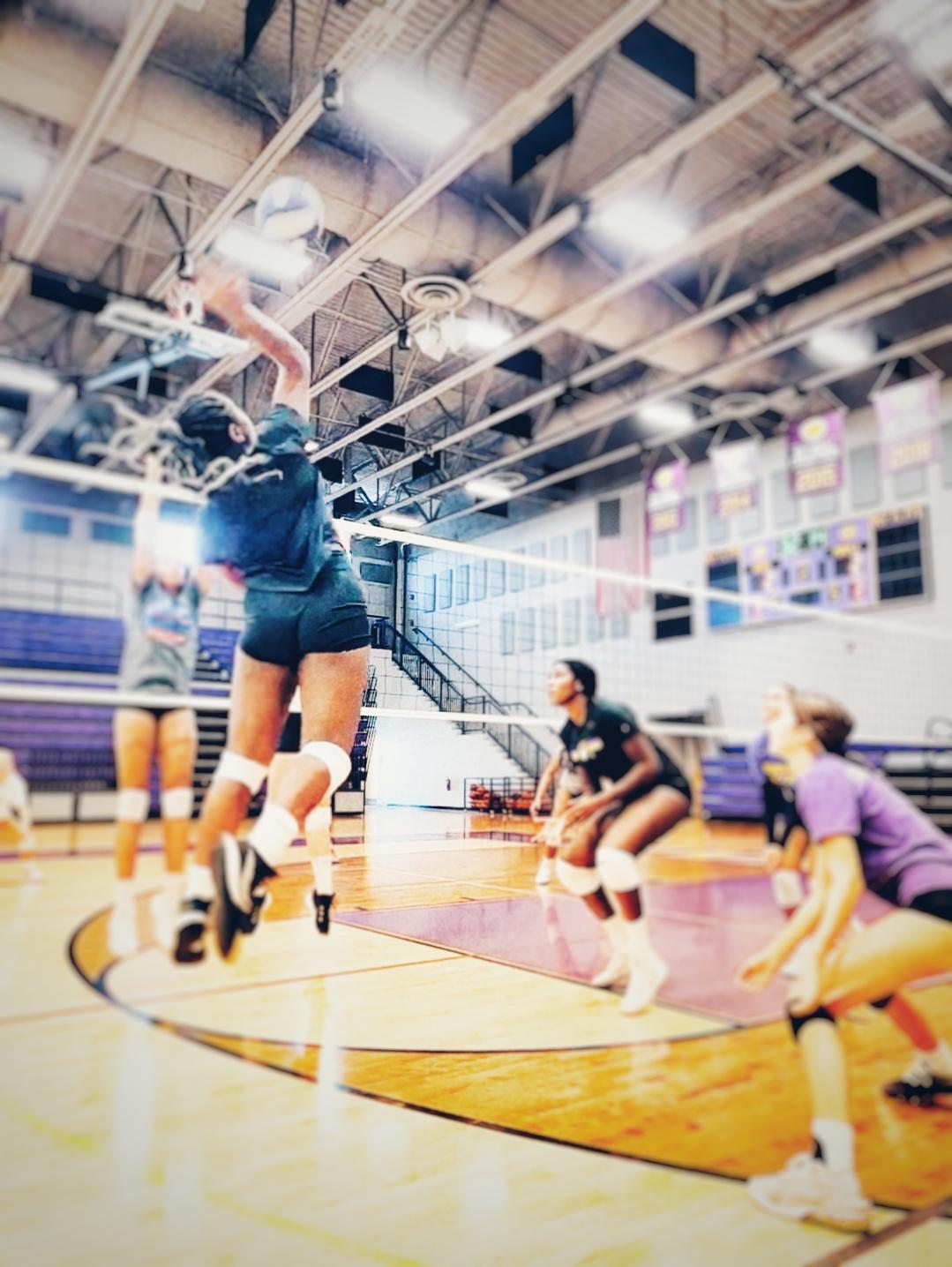 MONTVERDE VOLLEYBALL CLUB