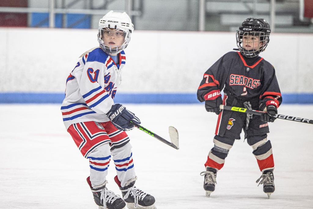 Springfield Rangers Hockey