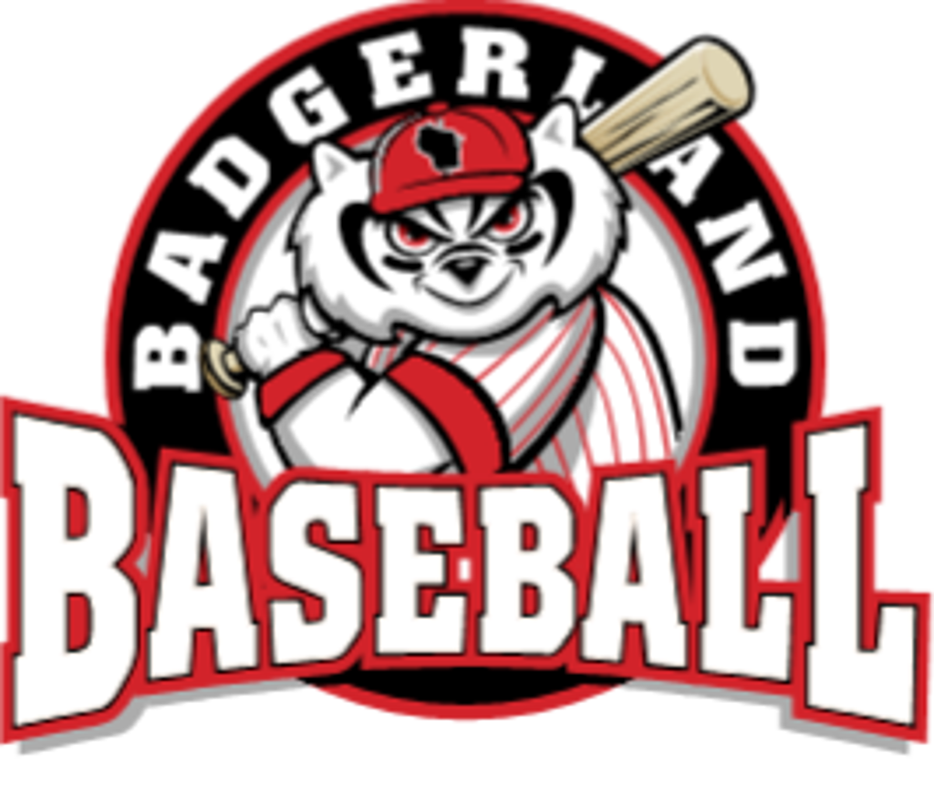 WI Youth Baseball Players