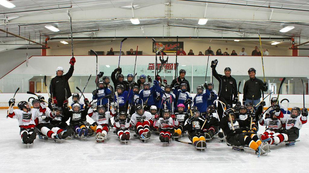GLASA Falcons Youth & Recreational Team vs Squirt Hitmen & Royals 2/15/14
