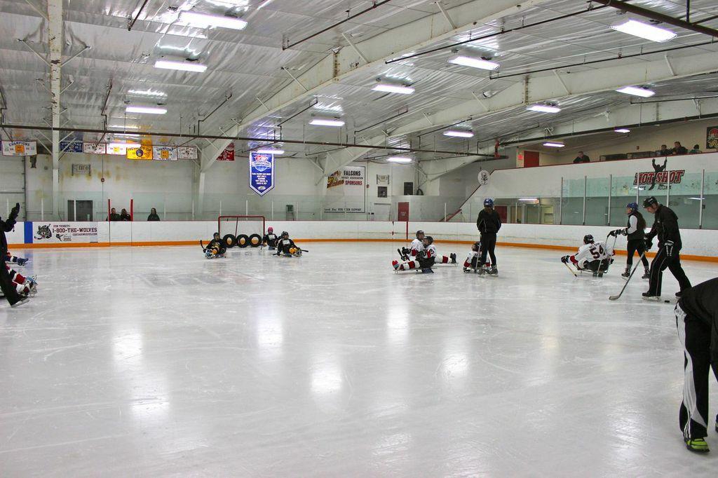 GLASA Falcons Youth & Recreational Team vs Squirt Hitmen & Royals 2/15/14