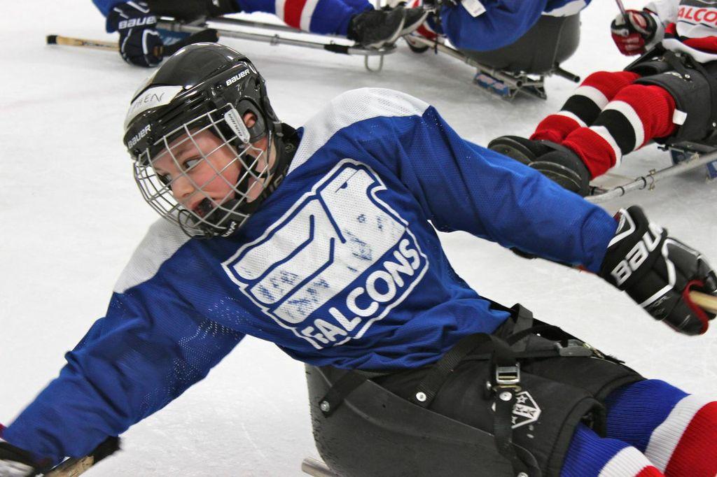 GLASA Falcons Youth & Recreational Team vs Squirt Hitmen & Royals 2/15/14