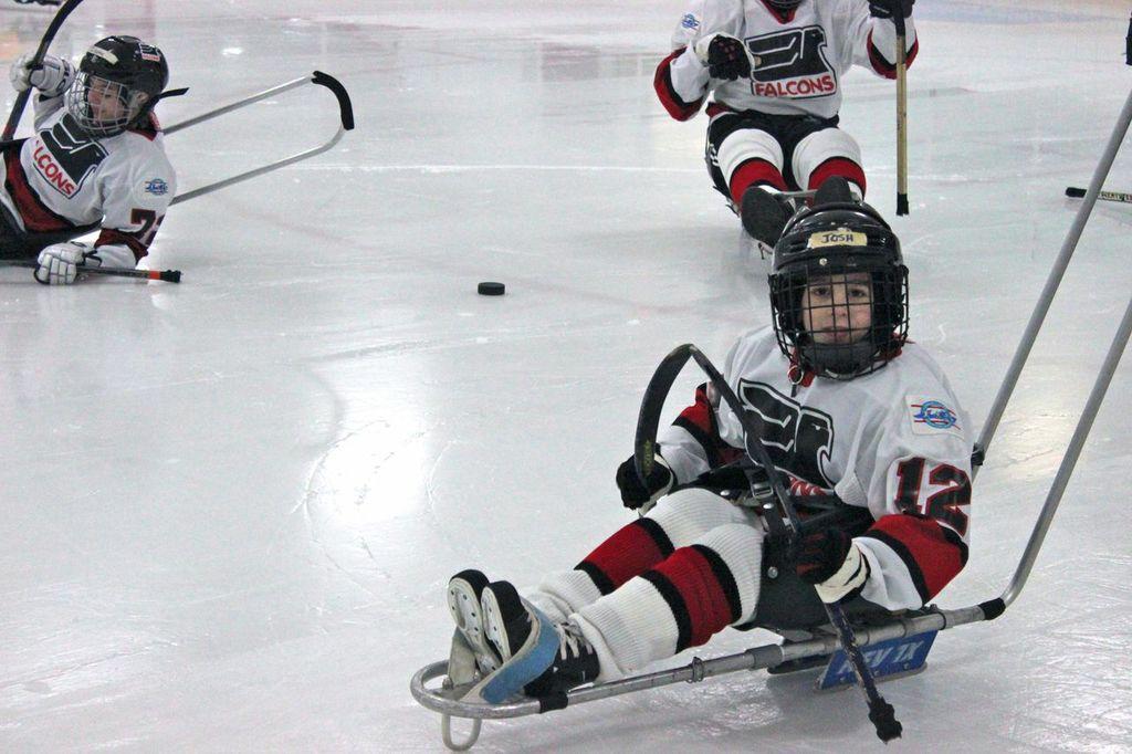 GLASA Falcons Youth & Recreational Team vs Squirt Hitmen & Royals 2/15/14