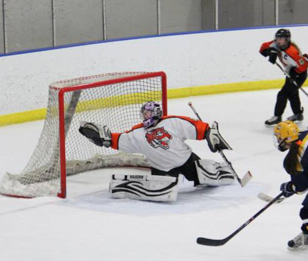 Minnesota Youth Hockey Goalies 201314 season Photos Minnesota Hockey