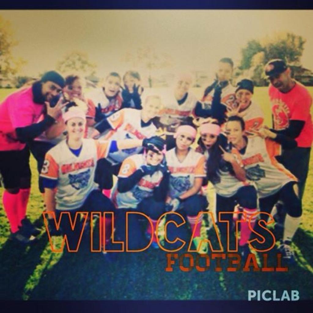Cougars Cougars