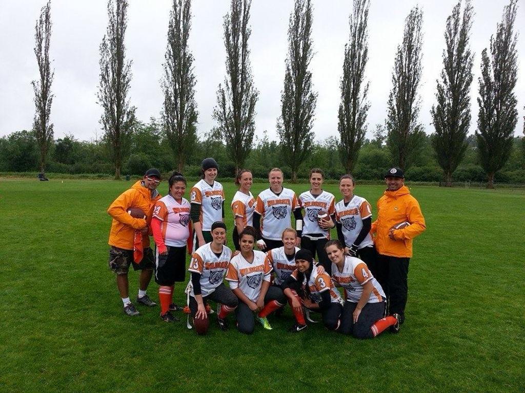 Cougars cougars