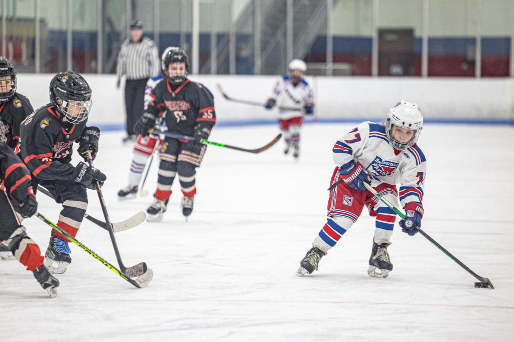 Springfield Rangers Hockey