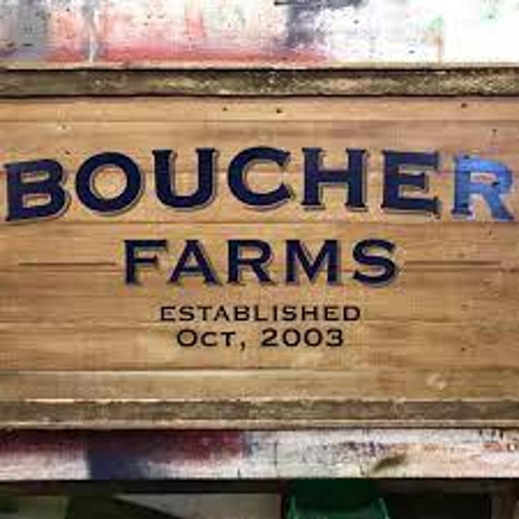 Dwight Youth Baseball & Softball