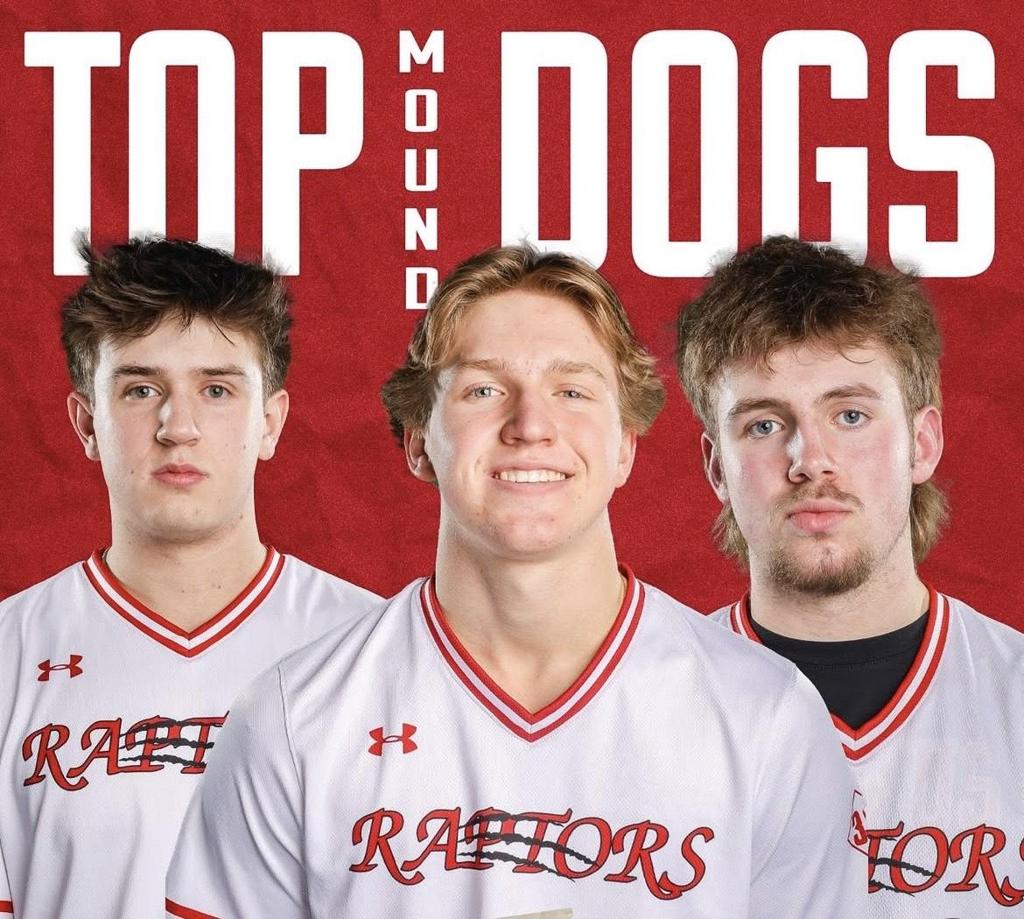 Veloraptor - Etsy, image size:1024x919