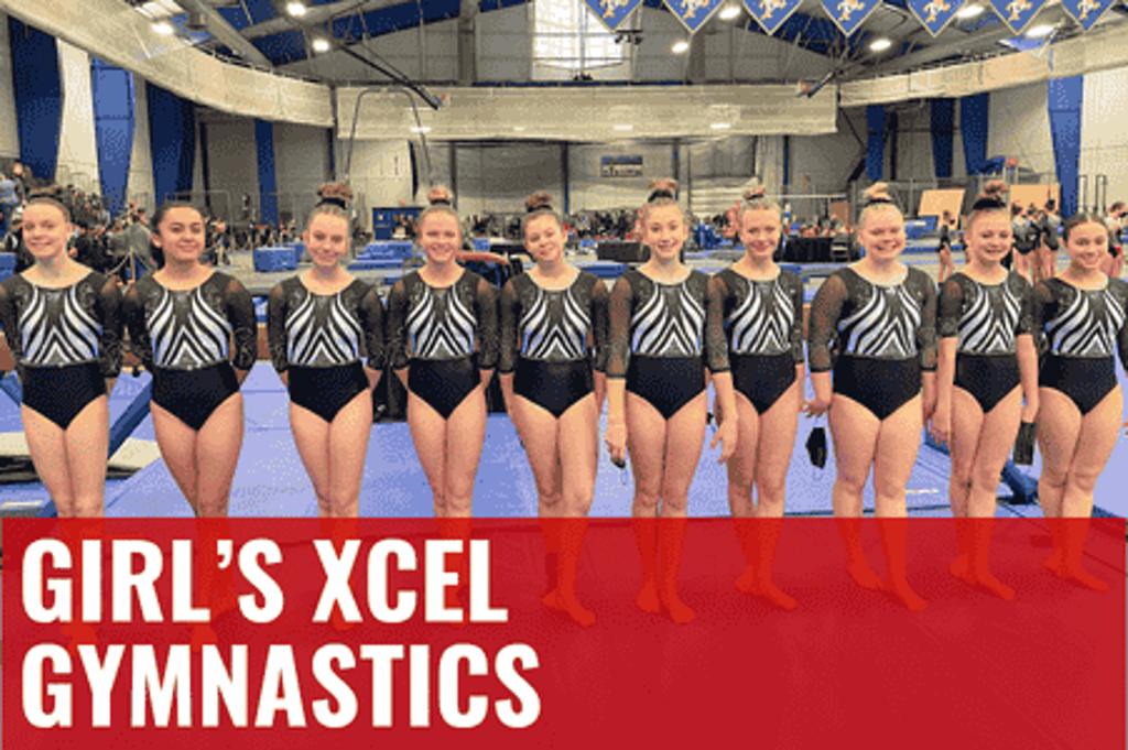 Excel gymnastics in Ramsey, MN