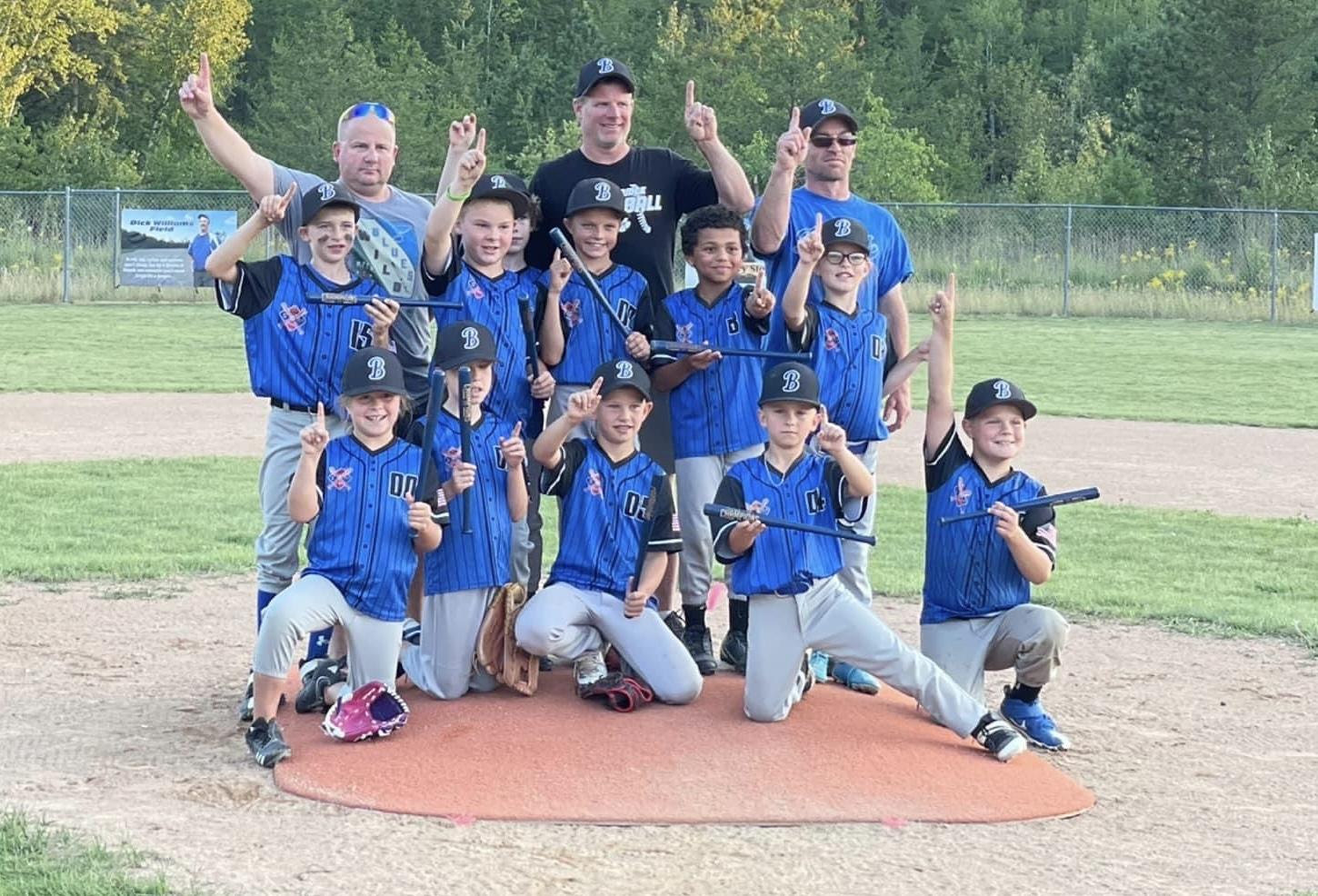 South Ridge Area Youth Baseball