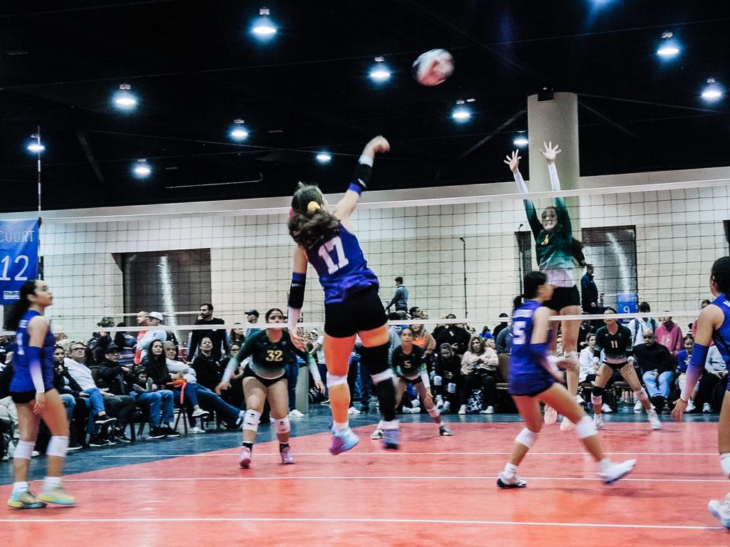 Winter Garden Volleyball Club