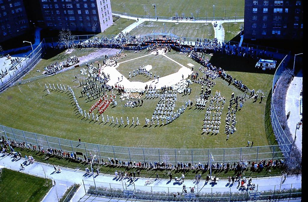 Photos Castle Hill Little League
