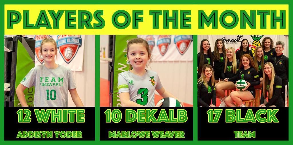 Team Pineapple Volleyball