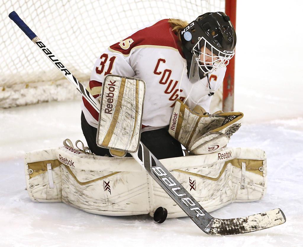 One goal in for Lakeville South girls' hockey, two left