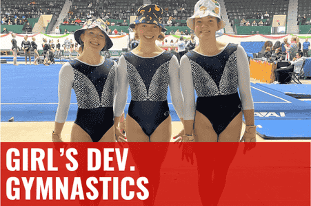 DEV gymnastics in Ramsey, MN