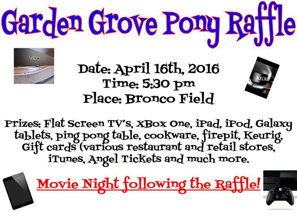 raffle tv raffle flyer