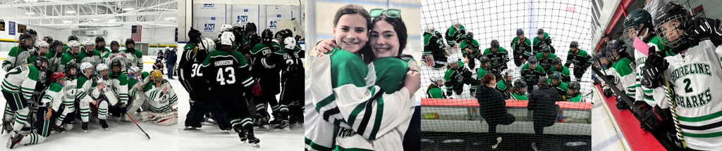 A Group of Shoreline Sharks During Hockey Practice