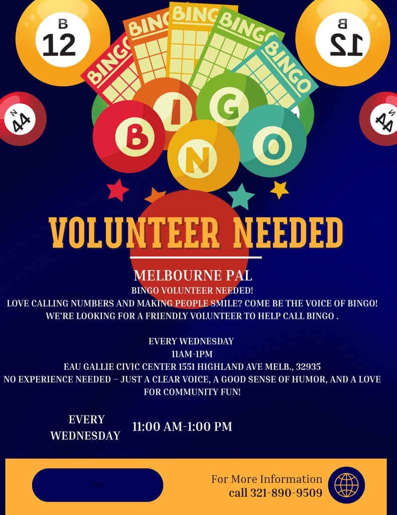 Bingo Volunteer 