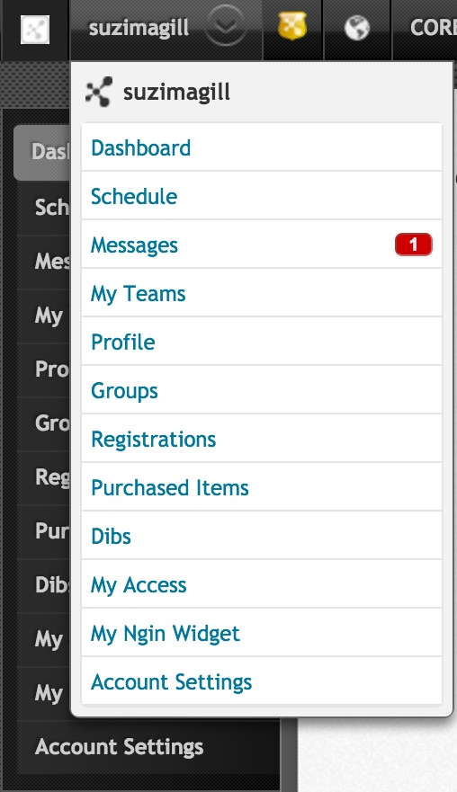SportsEngine Application