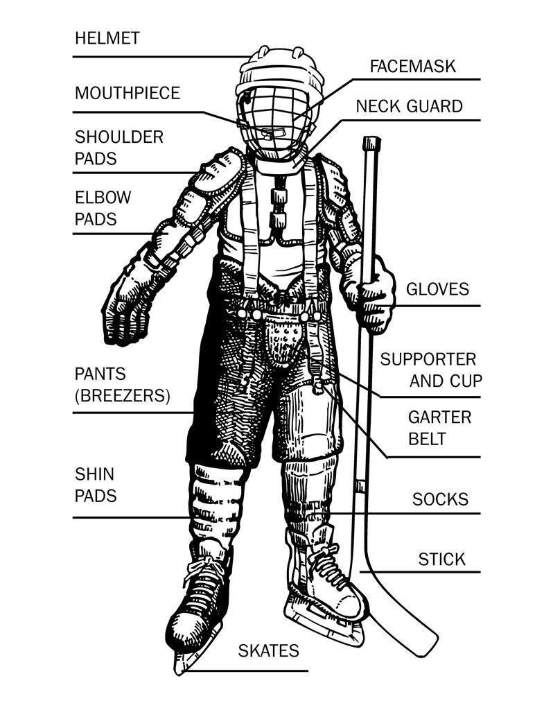 garter belt hockey New To Hockey?