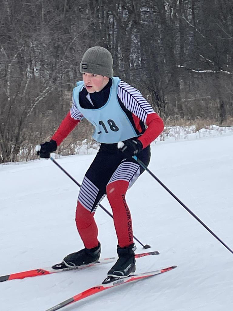 Nordic skier