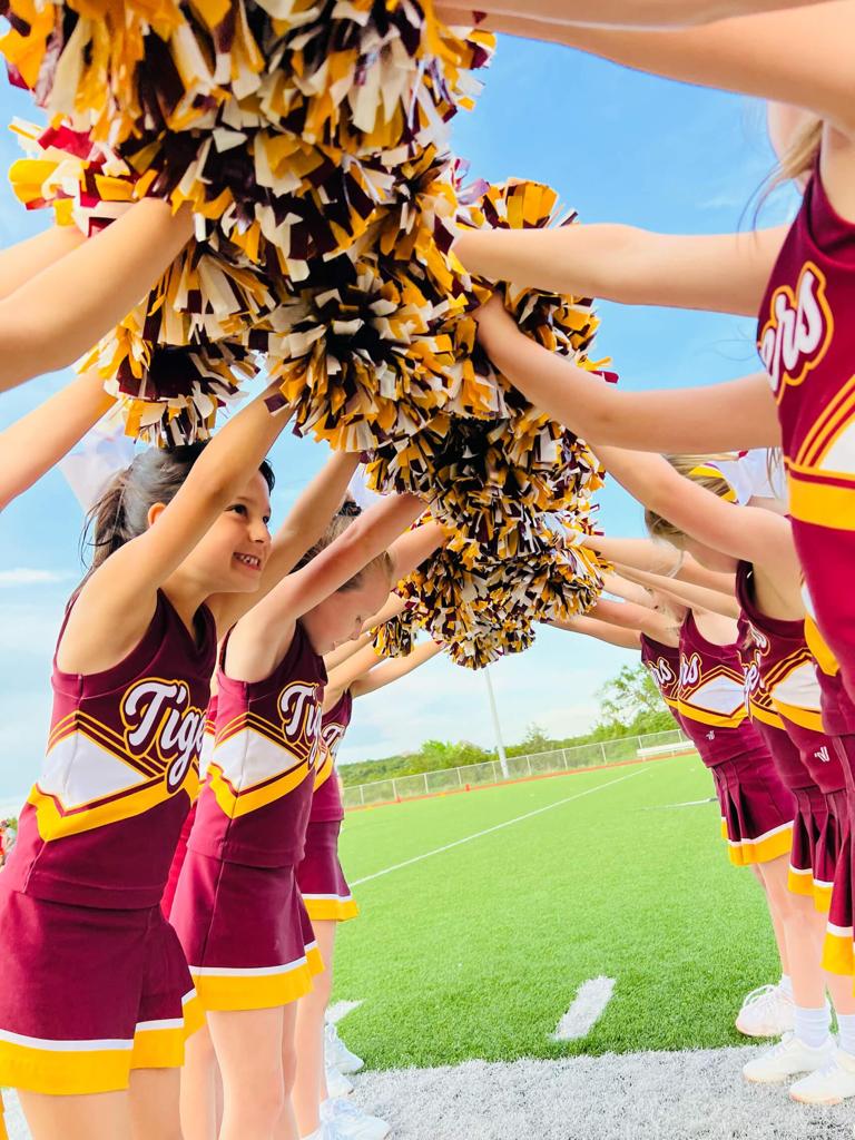Welcome to DSYSA Cheerleading!