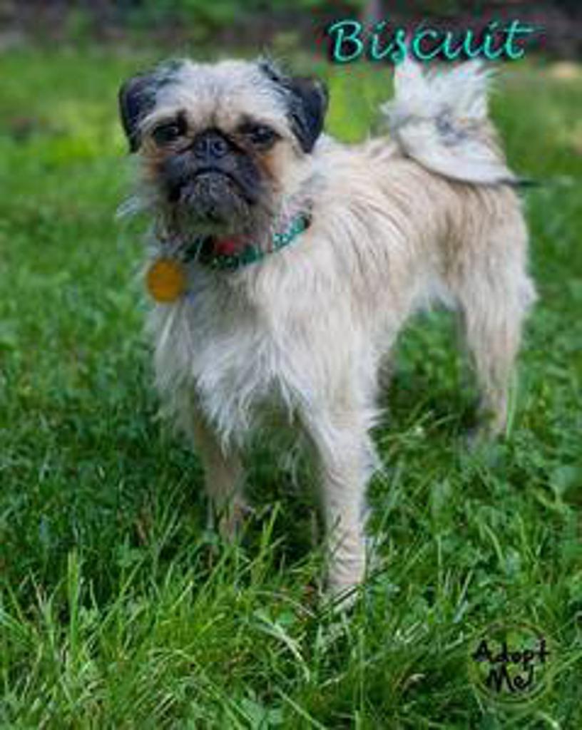 Photos NY Boulders Baseball photos-ny-boulders-baseball