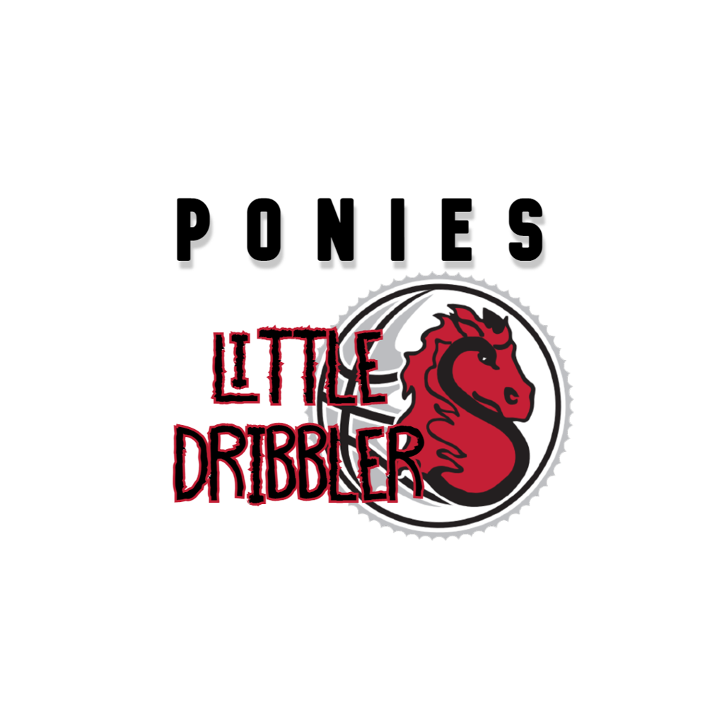 Little dribblers fast break leagues