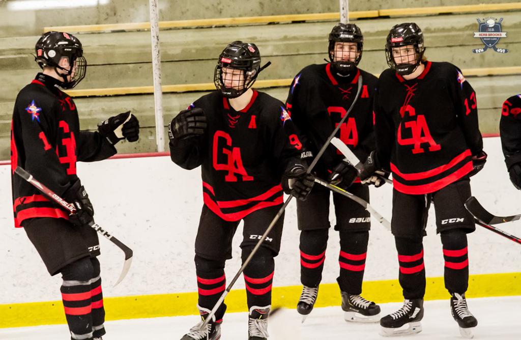 Hudson, Gentry, & Pine City Champions of the 2019 Boys Herb Brooks