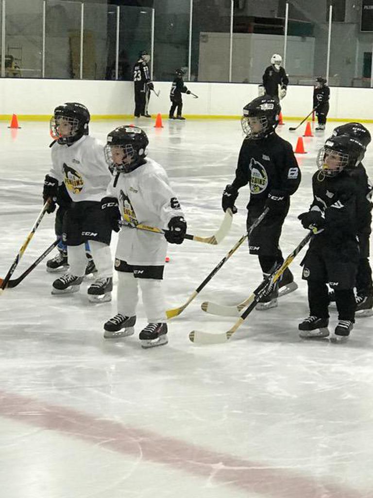 Little Pens Winter Session