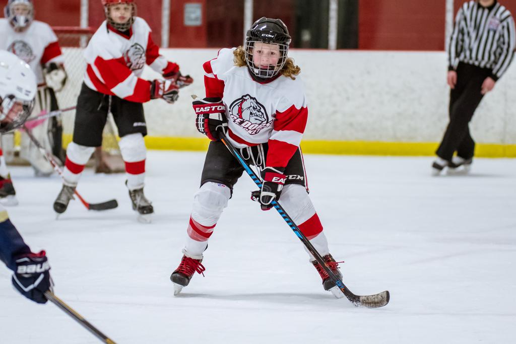 PEEWEE AA 201617 Photos West Michigan Ice Dogs Hockey/Holland