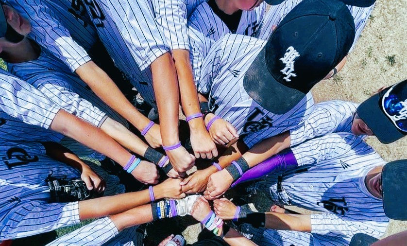 Hitters UDC Baseball Club