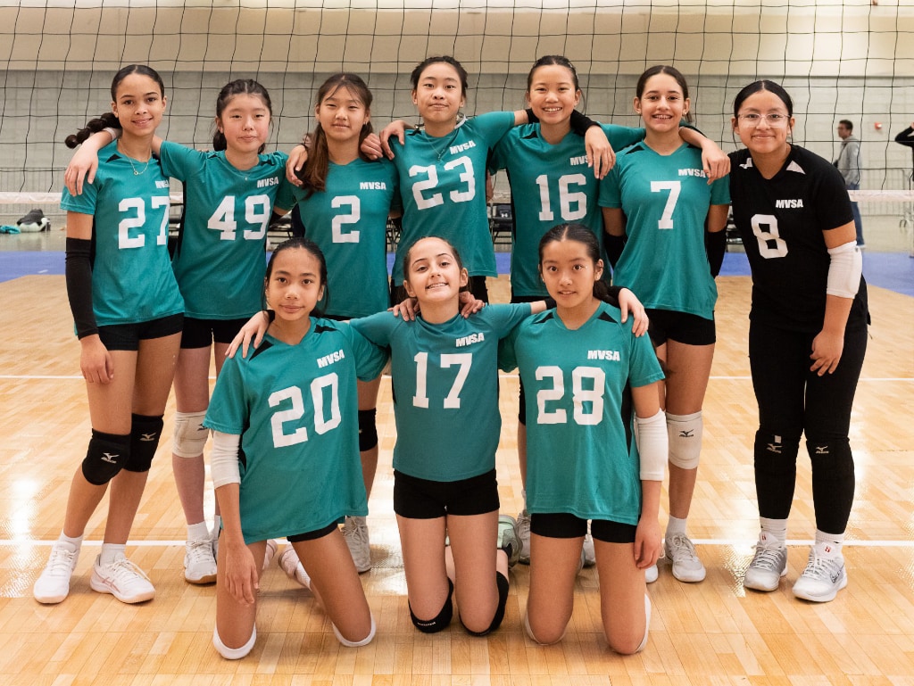 Vipers 12