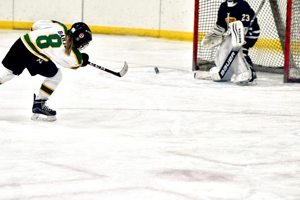  Photos Mounds View Irondale Youth Hockey Association