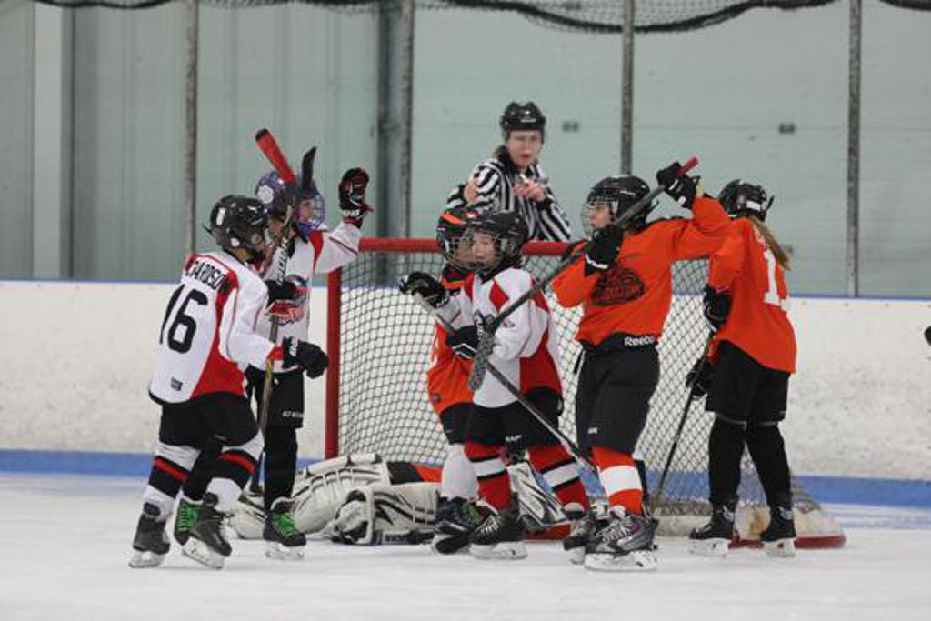 Photos Hollydell Ice Arena